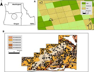 Post-Fire Vegetation Response in a Repeatedly Burned Low-Elevation Sagebrush Steppe Protected Area Provides Insights About Resilience and Invasion Resistance